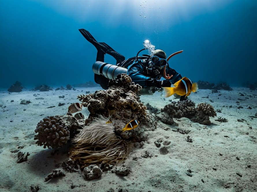 seguro buceo colombia