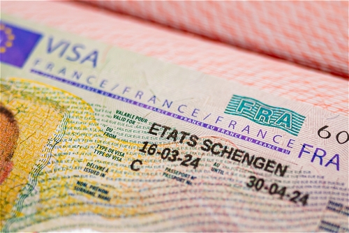 seguro schengen para visa D